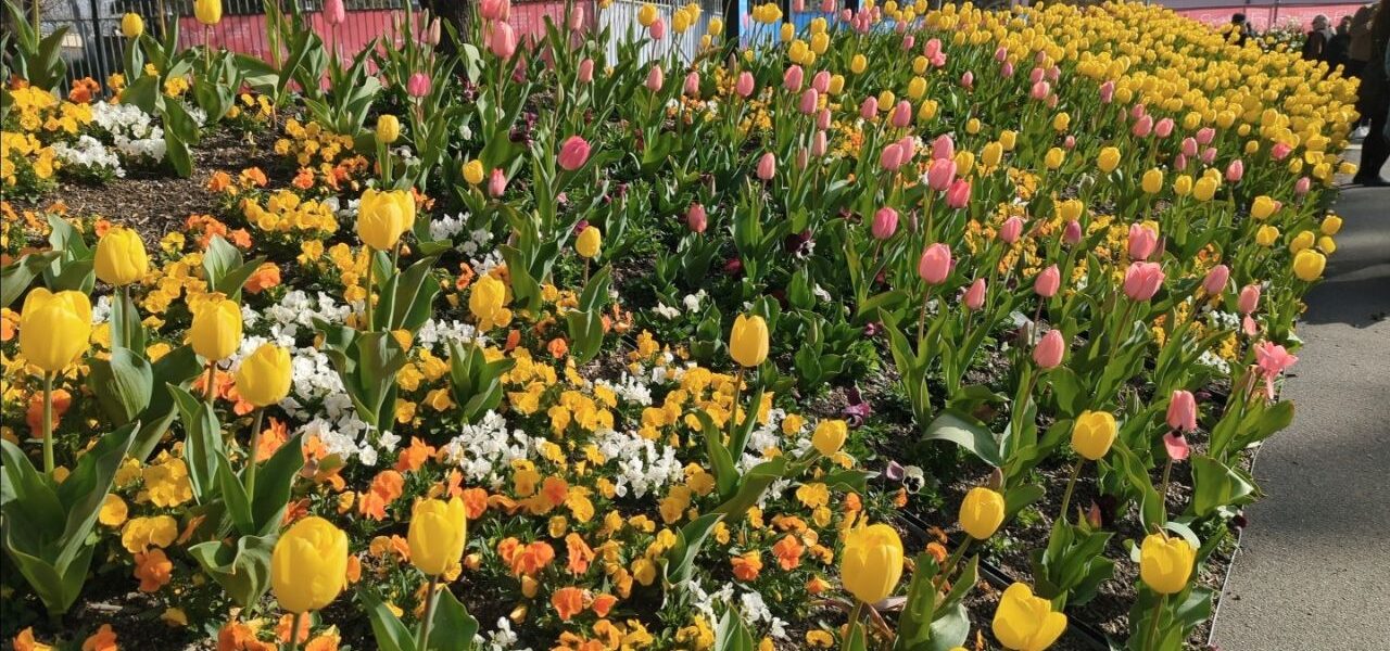 Floriade Canberra