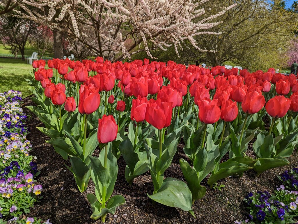 Floriade