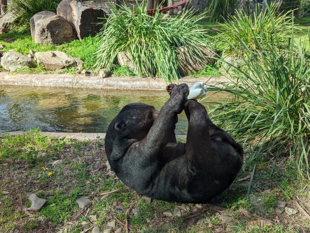 National Zoo & Aquarium